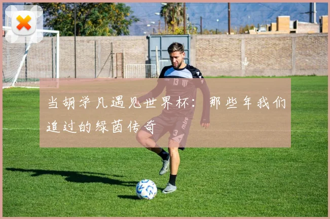 当胡学凡遇见世界杯：那些年我们追过的绿茵传奇