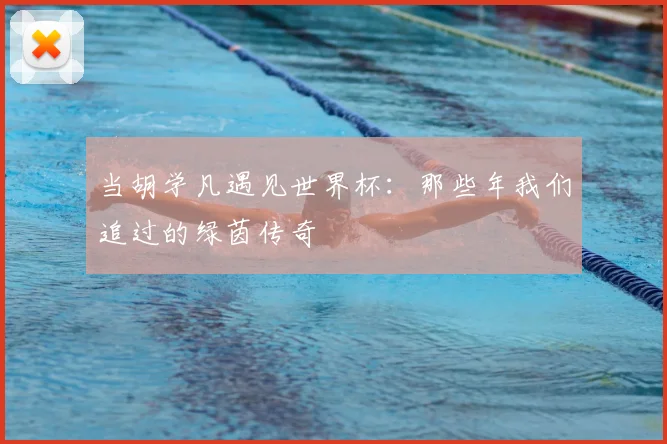 当胡学凡遇见世界杯：那些年我们追过的绿茵传奇