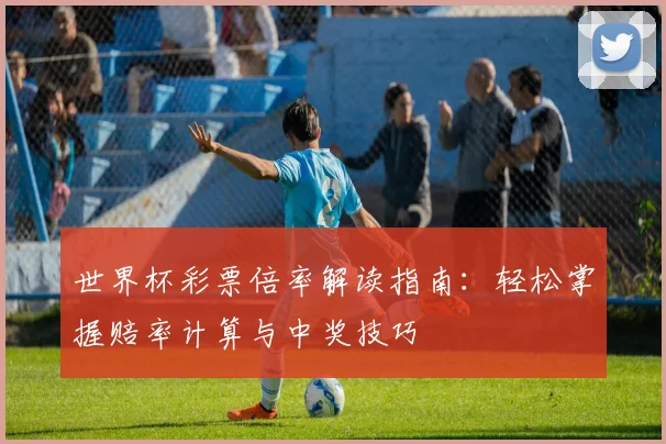世界杯彩票倍率解读指南：轻松掌握赔率计算与中奖技巧