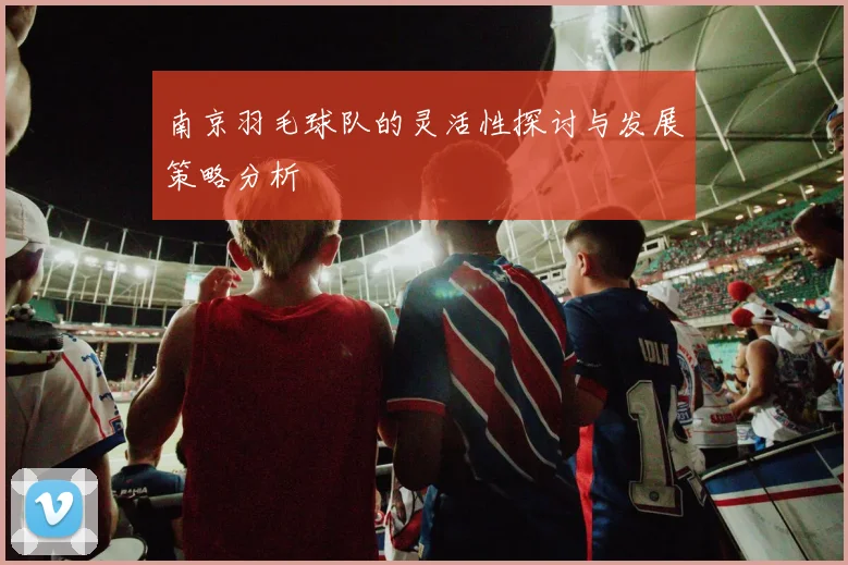 南京羽毛球队的灵活性探讨与发展策略分析