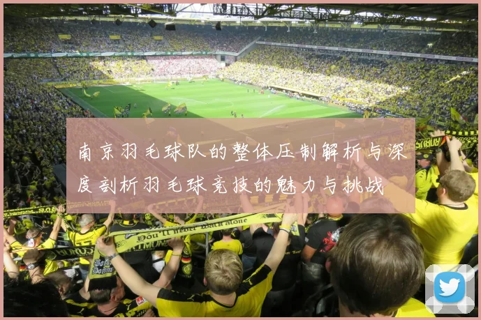南京羽毛球队的整体压制解析与深度剖析羽毛球竞技的魅力与挑战