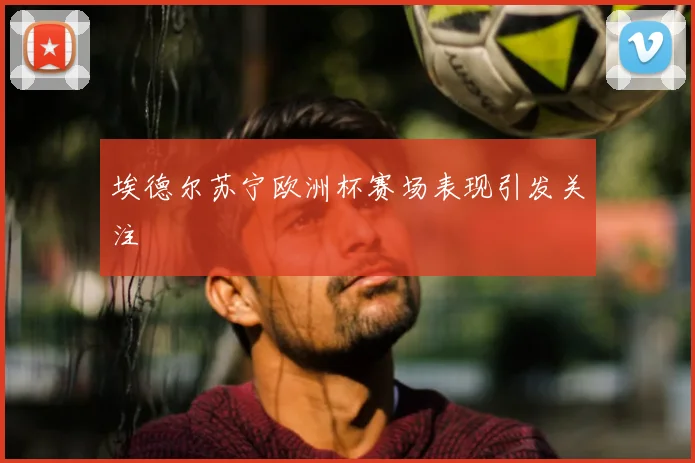 埃德尔苏宁欧洲杯赛场表现引发关注