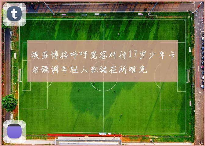 埃芬博格呼吁宽容对待17岁少年卡尔强调年轻人犯错在所难免