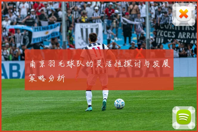 南京羽毛球队的灵活性探讨与发展策略分析