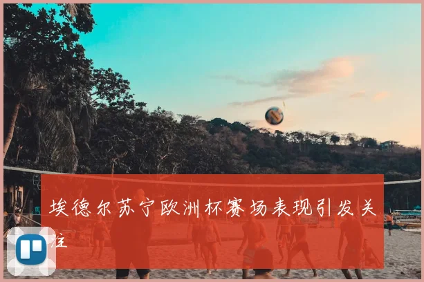 埃德尔苏宁欧洲杯赛场表现引发关注